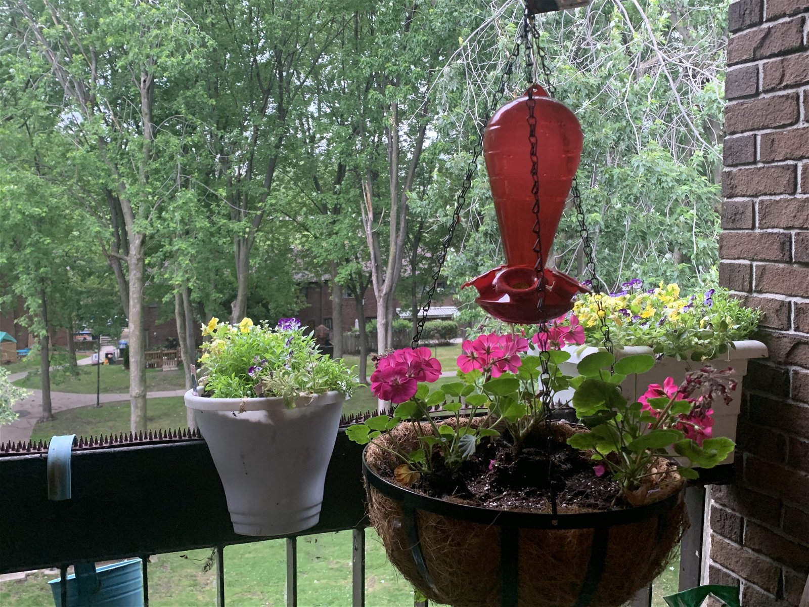 Chambre Chez L'habitant Montréal 264480