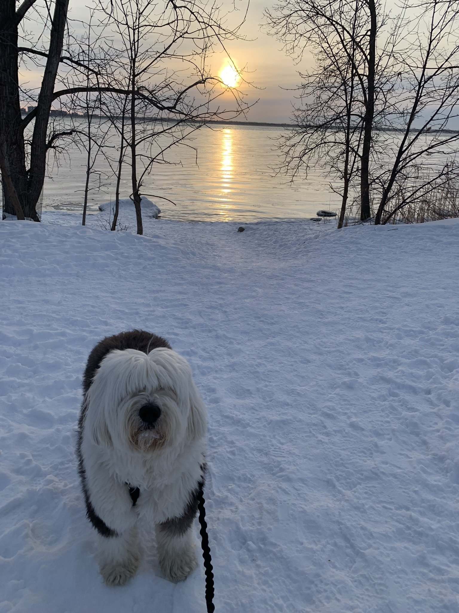 Chambre Chez L'habitant Montréal 264480