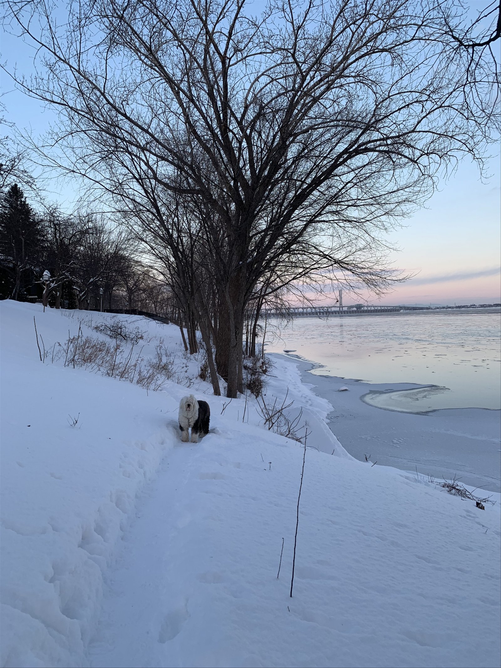 Chambre Chez L'habitant Montréal 264480