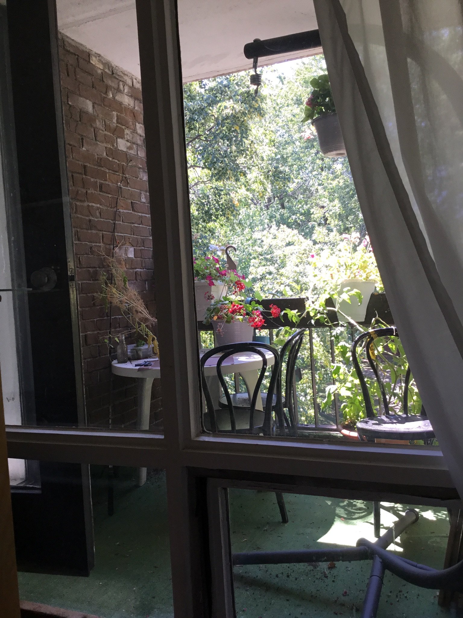 Chambre Chez L'habitant Montréal 264480