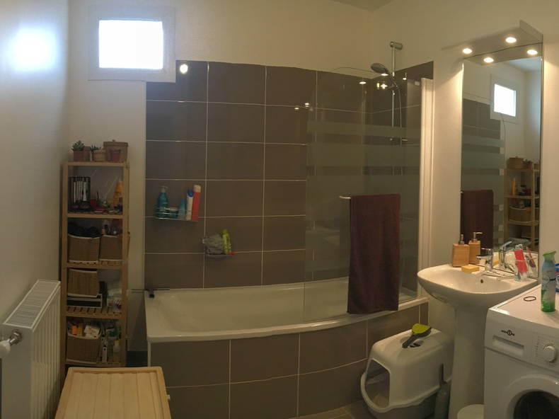 Kolokasie Choisy-le-Roi 190038-3