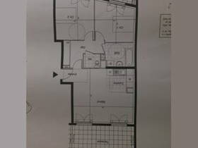Kolokasie Choisy-le-Roi 190038-4