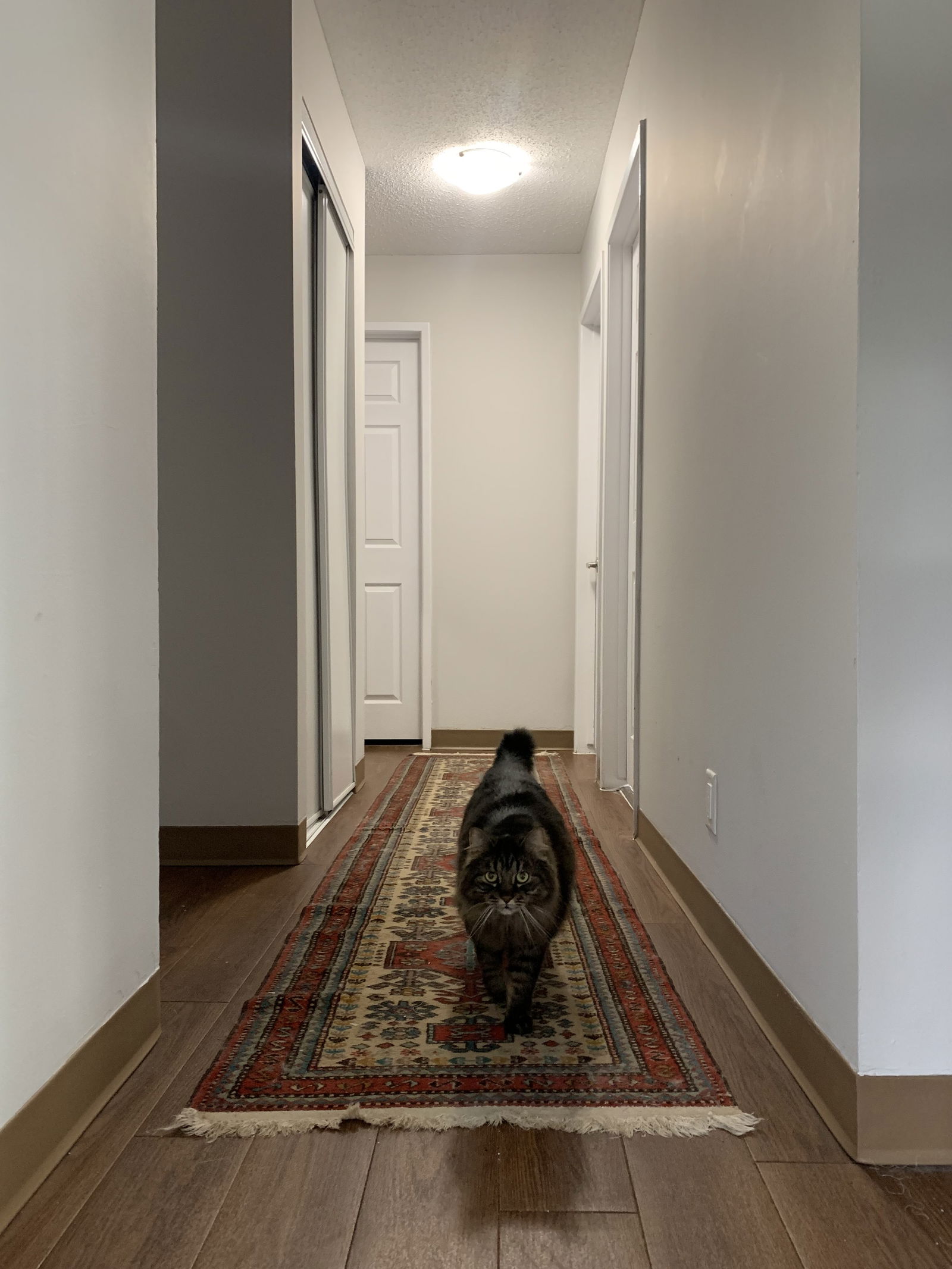 Chambre Chez L'habitant Calgary 430449