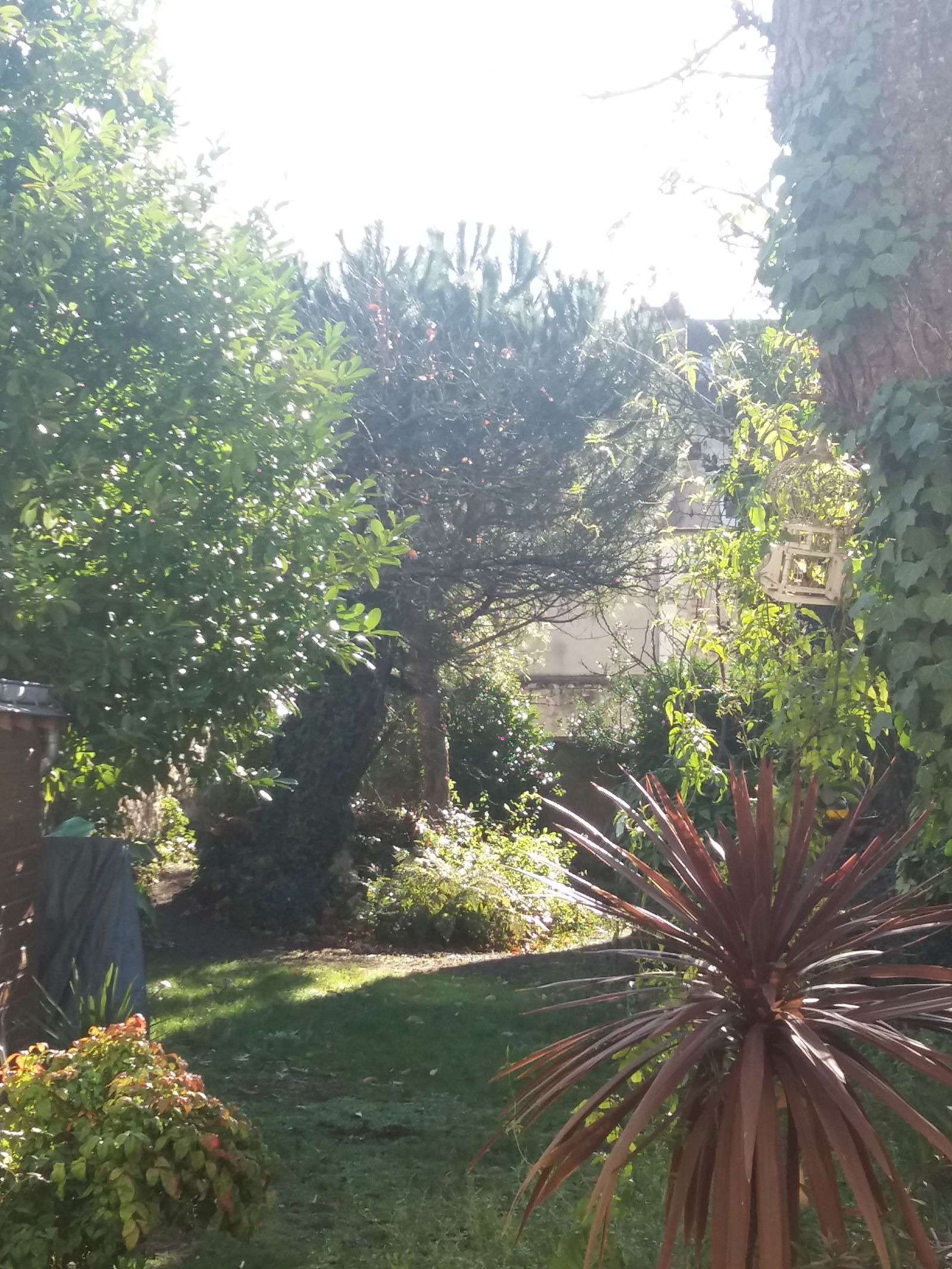 Homestay Tours 233730