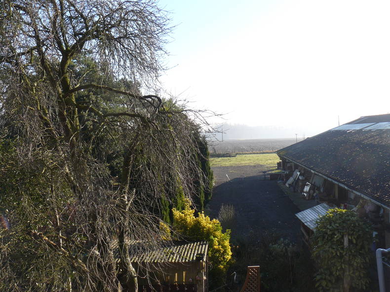 Chambre Chez L'habitant Beaucamps-Ligny 154812-4