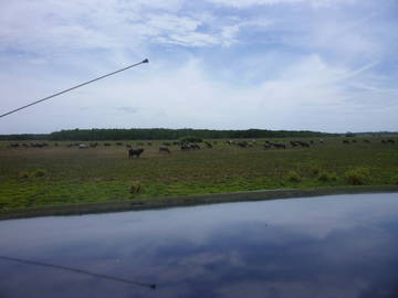 Chambre D'hôte Kuala Besut 11031-4