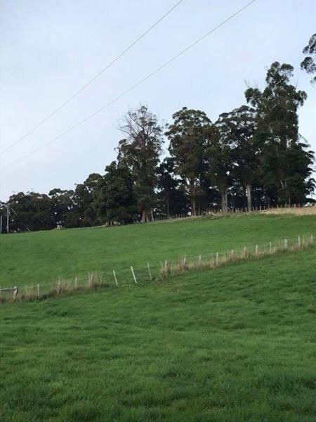 Chambre Chez L'habitant Barrington 203076