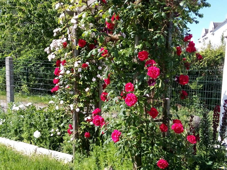 Chambre Chez L'habitant Baule 92597-4