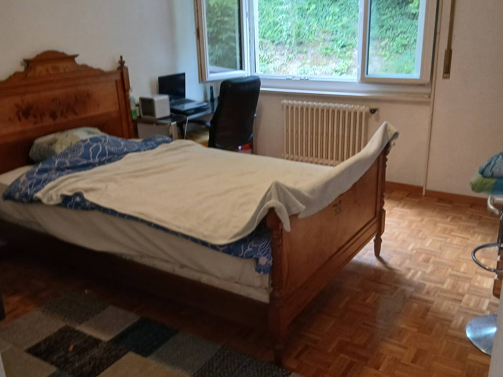 Colocation Lausanne 317231-1