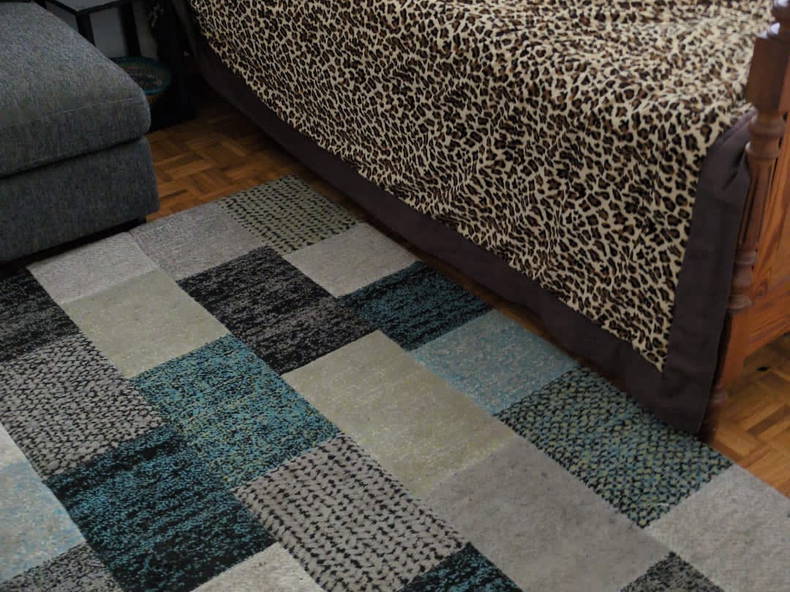 Colocation Lausanne 317231-4