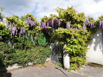 Chambre À Louer Meyrin 250227