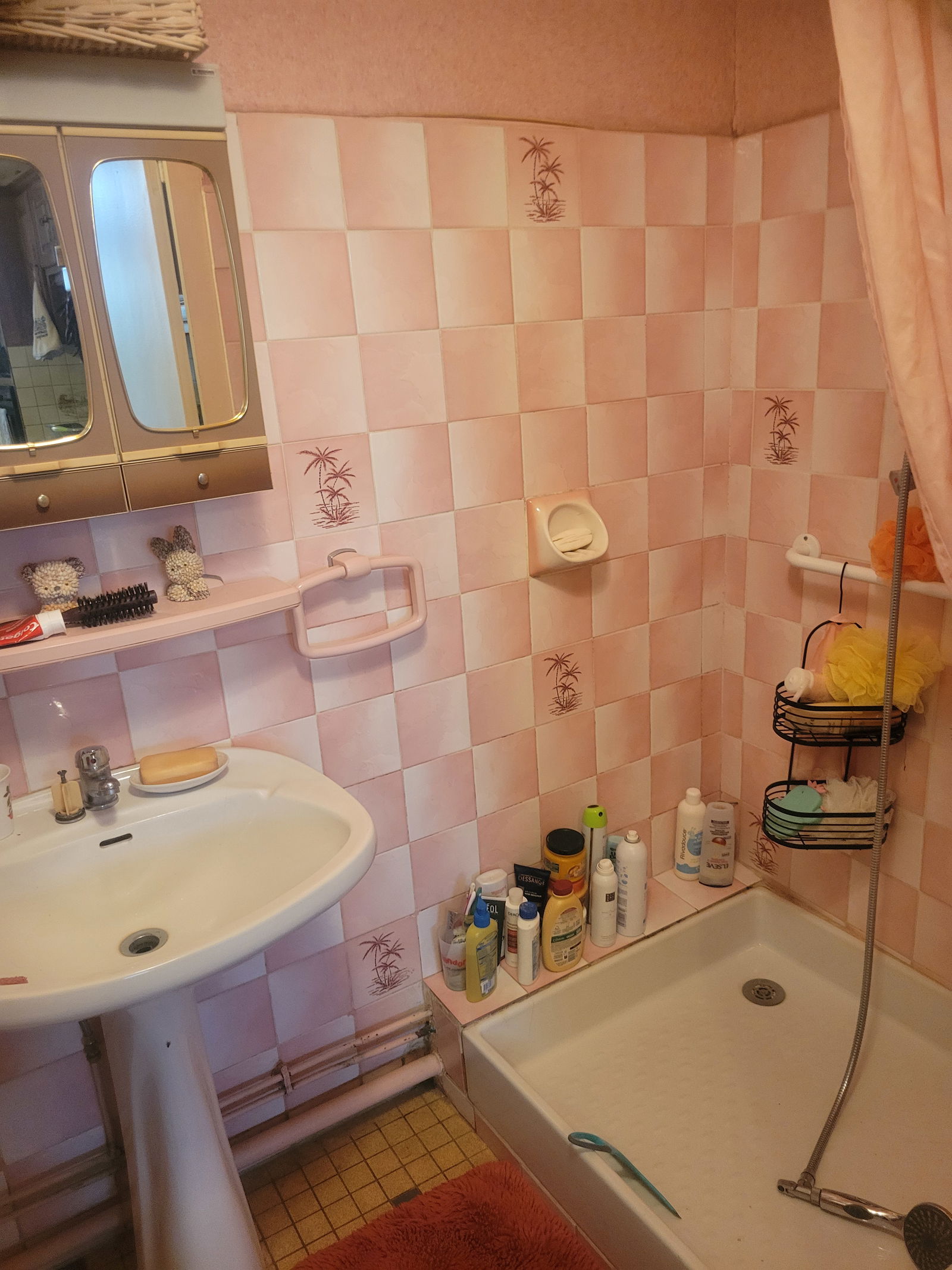 Chambre Chez L'habitant Vianne 556344