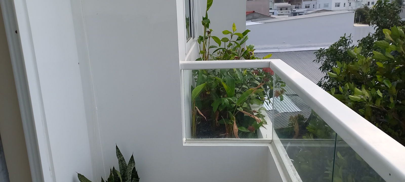 Uafhængigt Studie Nha Trang 192290