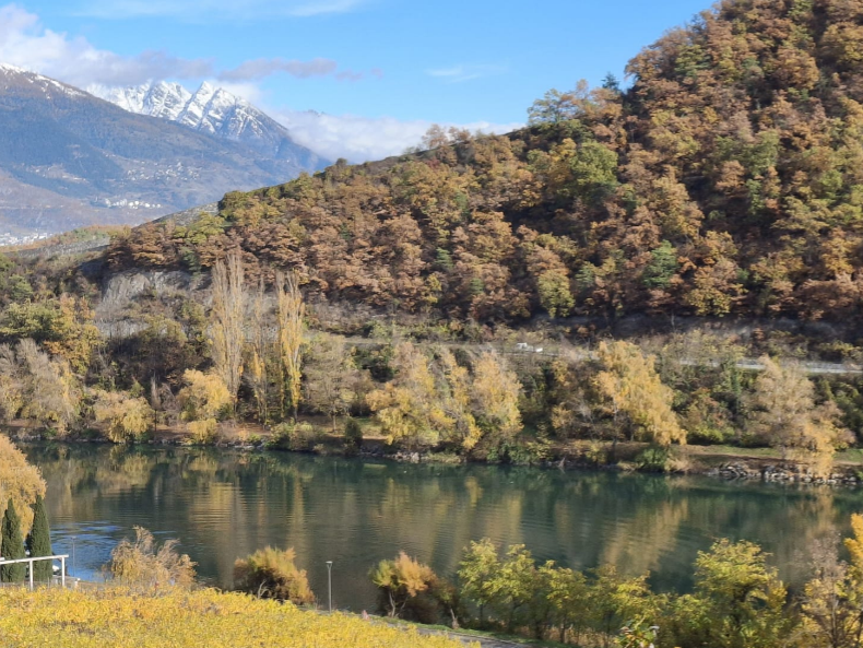 Colocation Sierre 655999-1