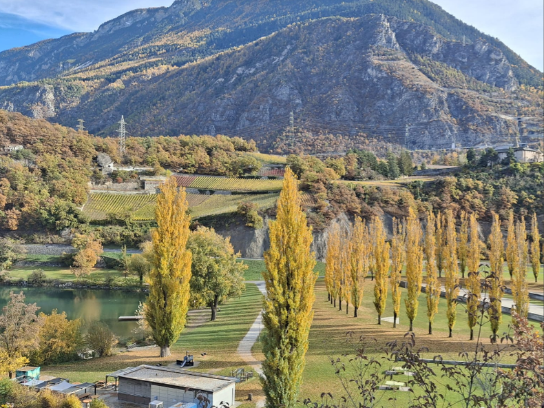 Colocation Sierre 655999-2