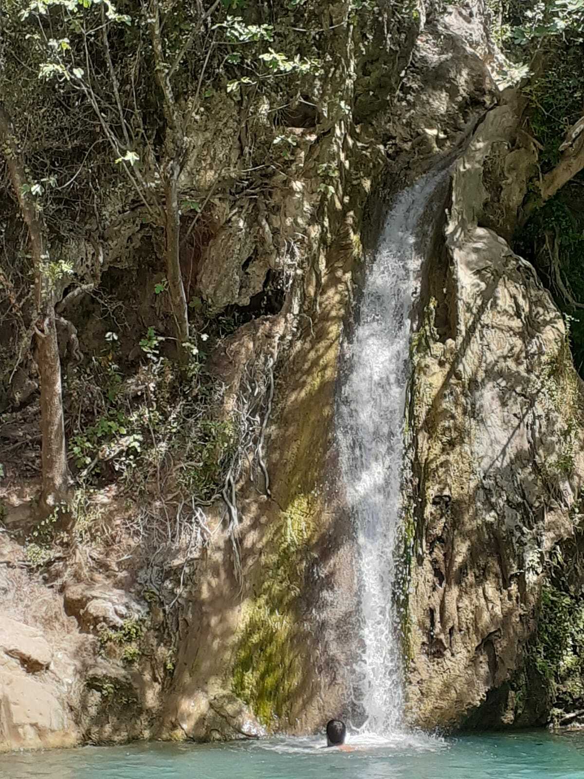 Famiglia Marseille 240499