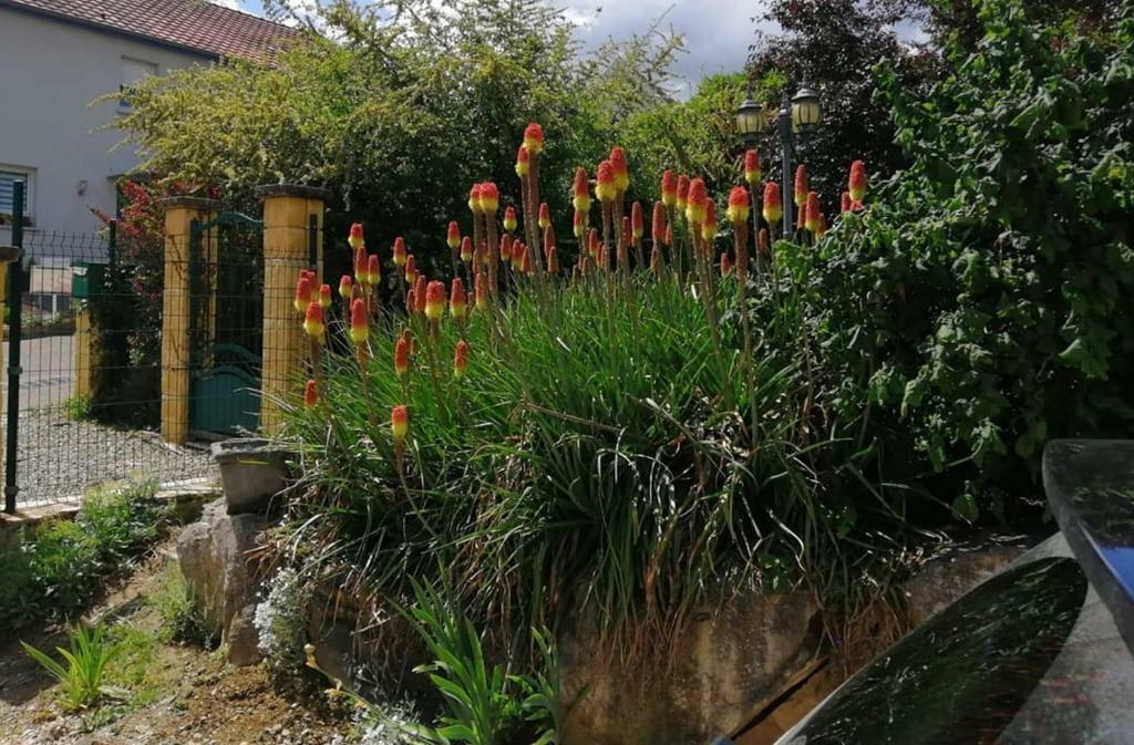 Tutta La Casa Illfurth 253220