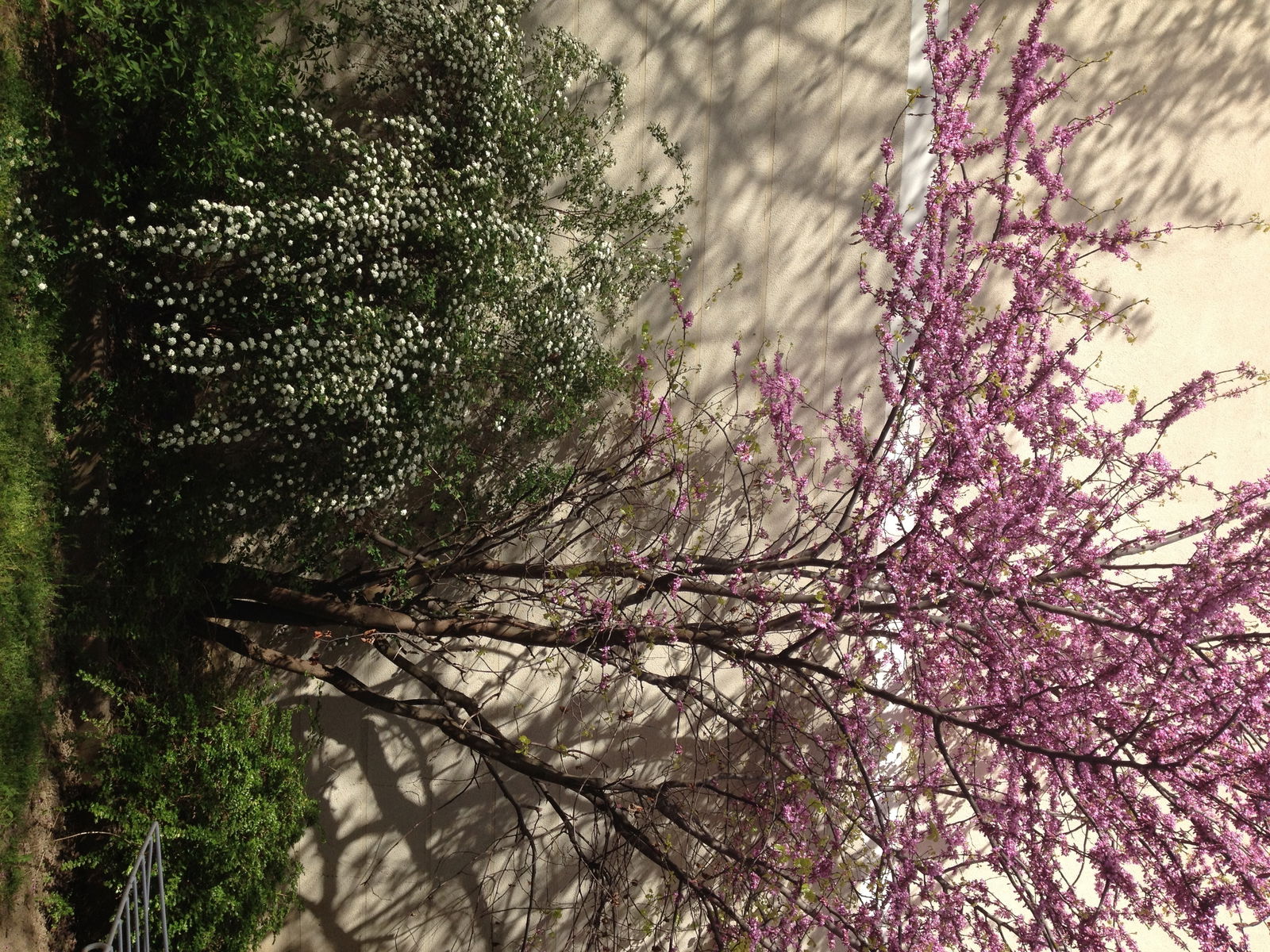 Hospedagem Em Casa De Família Lyon 158426