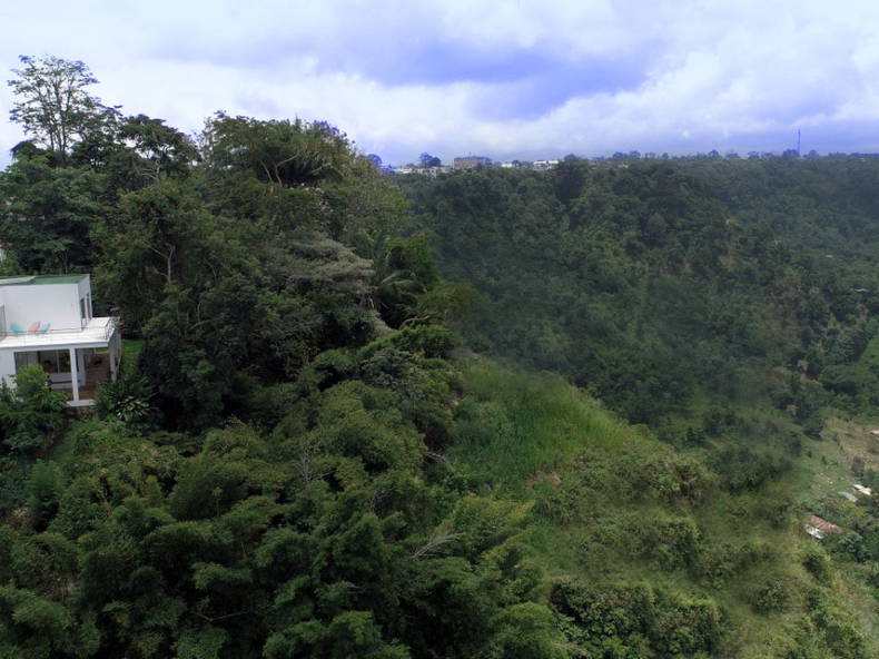 Toda La Casa La Mesa 234589-2