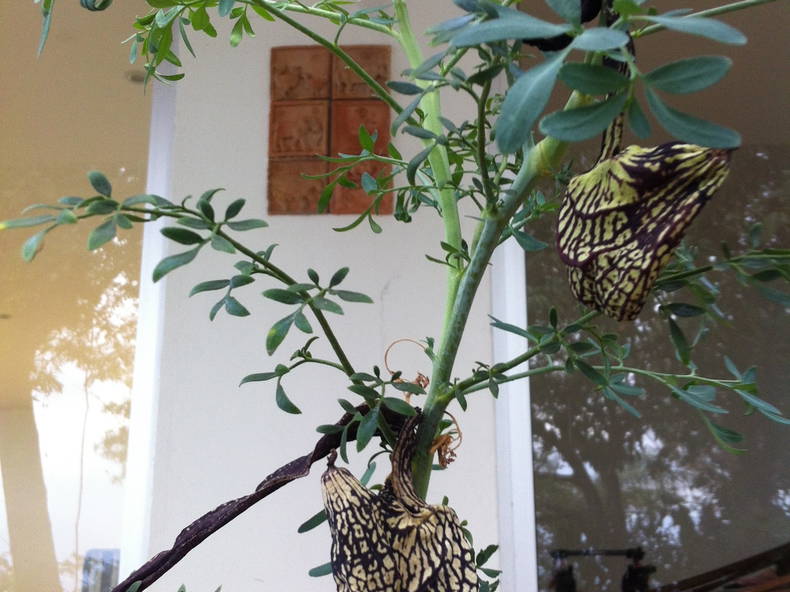 Toda La Casa La Mesa 234589-5