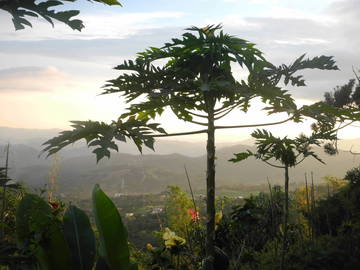 Logement Entier La Mesa 234589-8