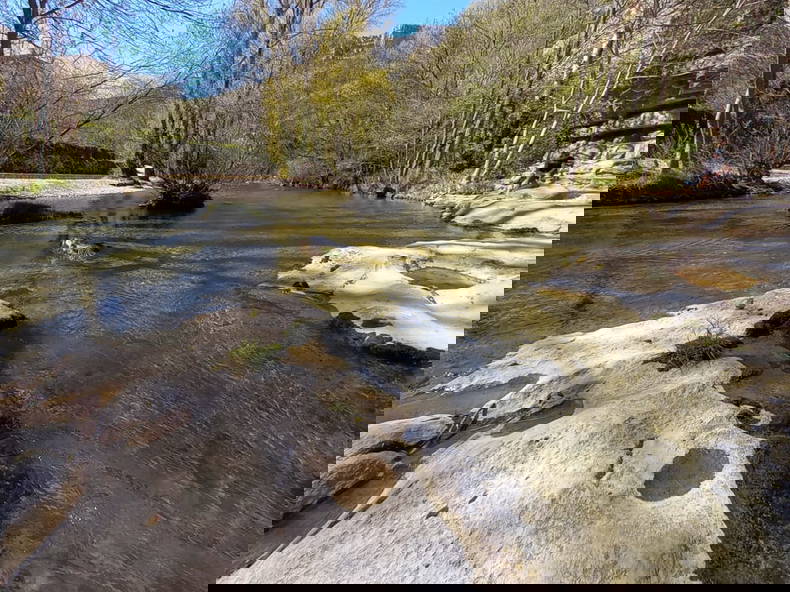 Colocation Thonon-les-Bains 266184-5