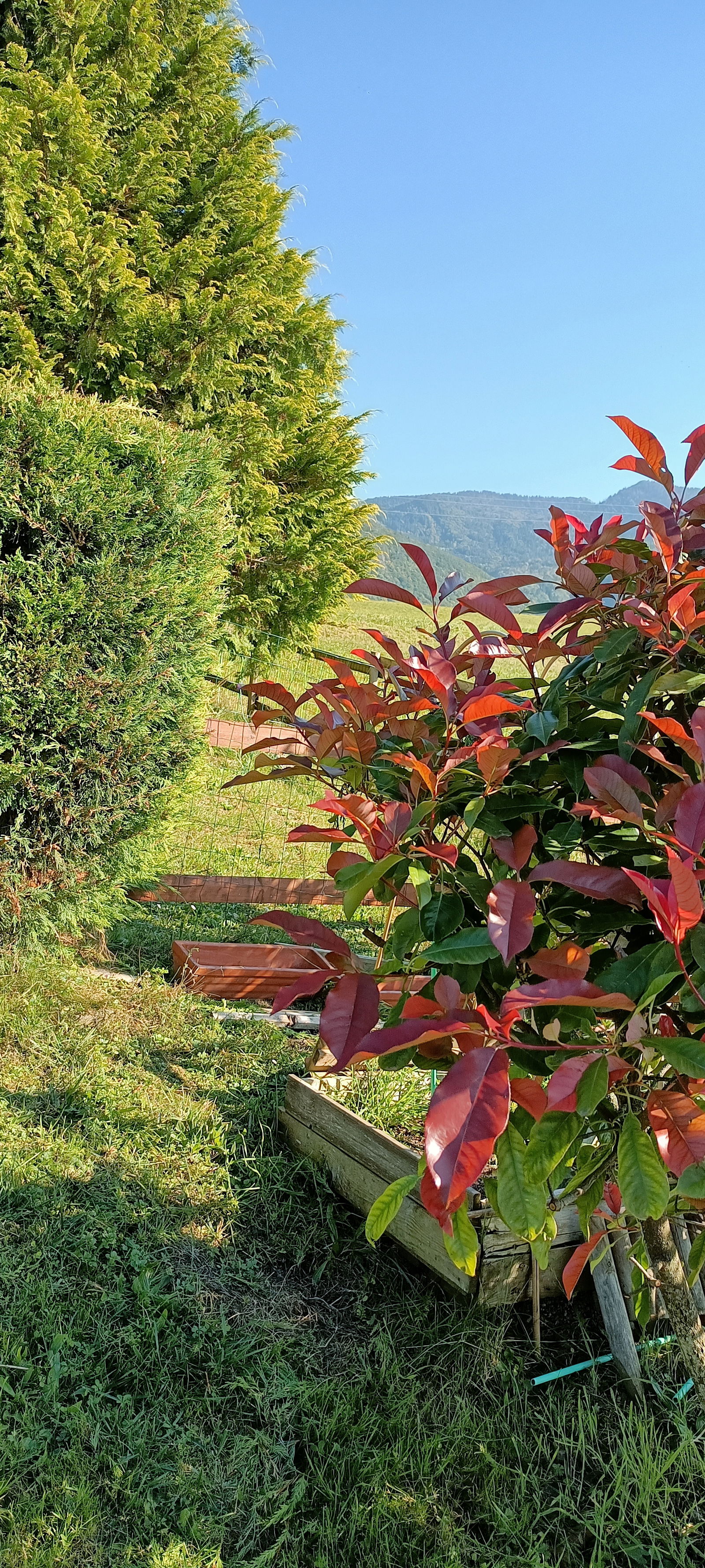 Colocation Thonon-les-Bains 266184