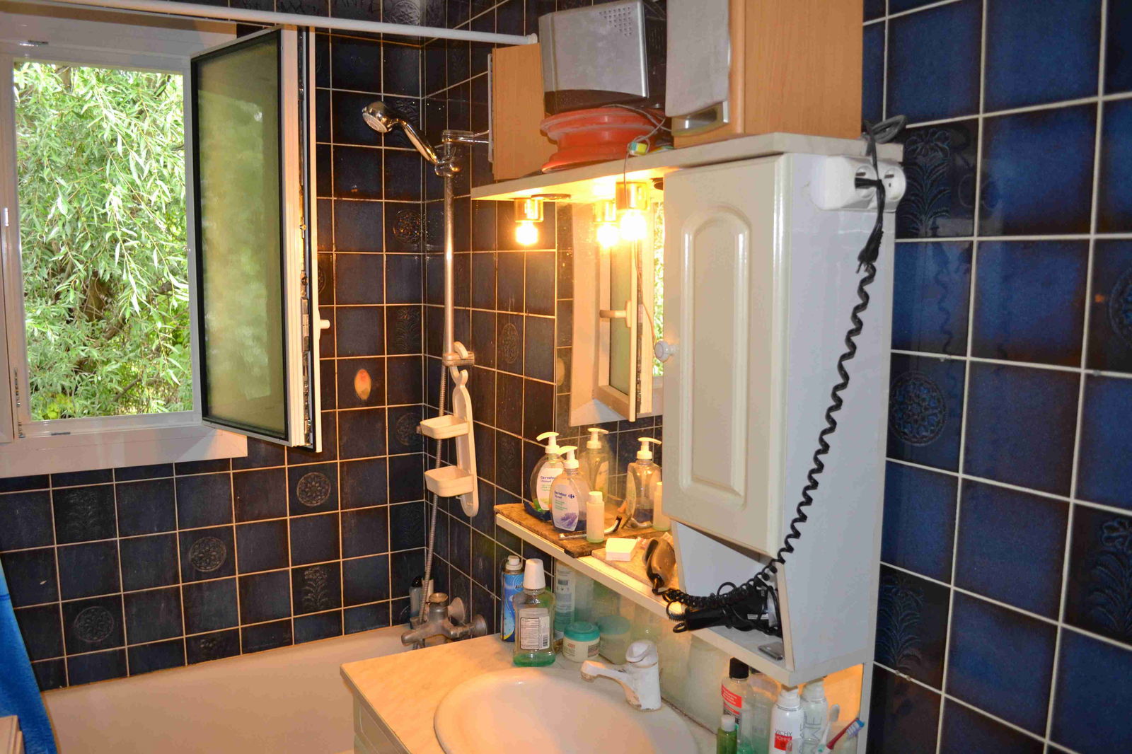 Logement Entier Ferney-Voltaire 256362