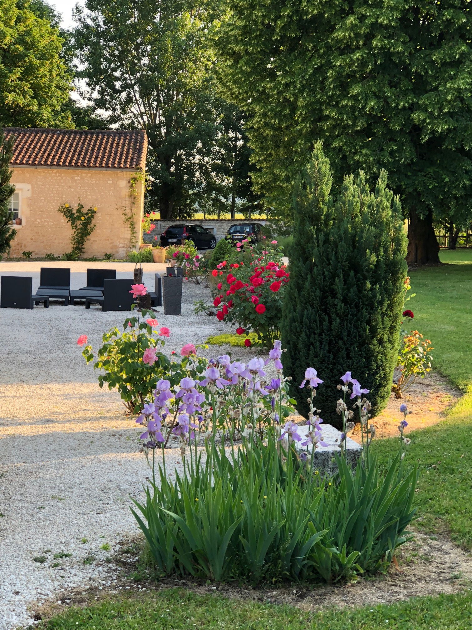 Homestay Saint-Martial-de-Vitaterne 131986