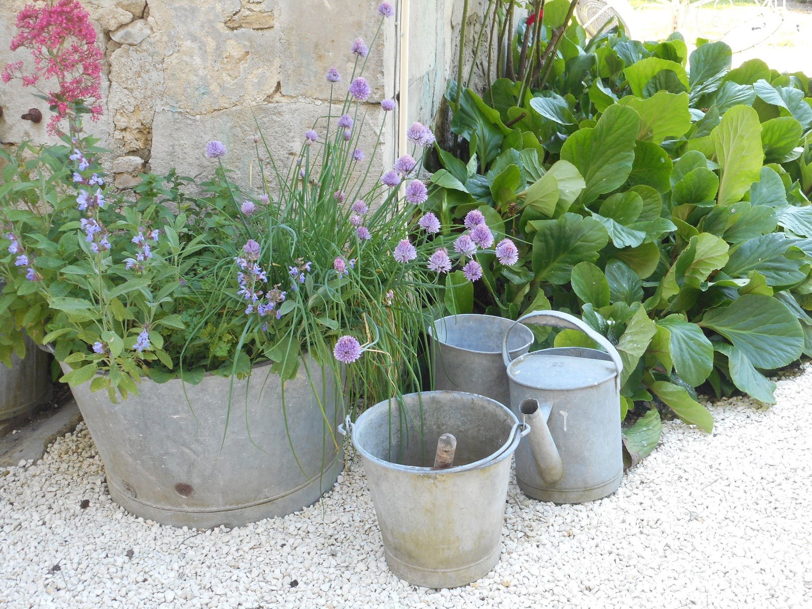 Homestay Saint-Martial-de-Vitaterne 131986