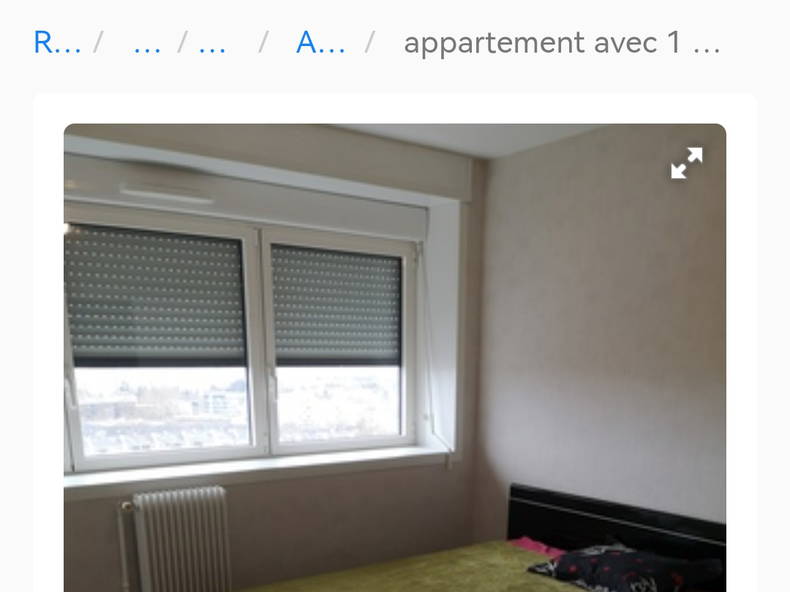 Homestay Rennes 324321-2