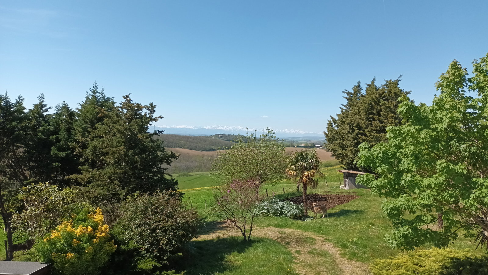 Homestay Saverdun 667180