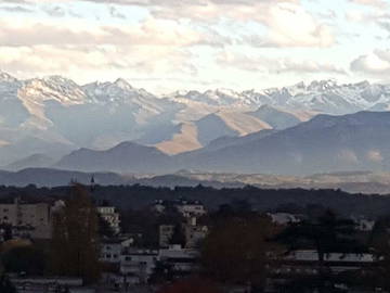 Colocation Pau 225719-5