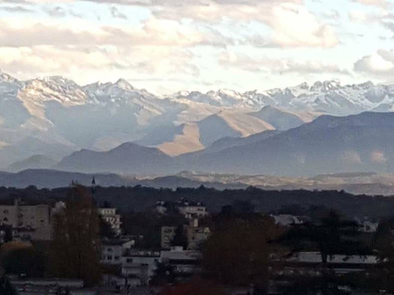 Colocación Pau 225719-5