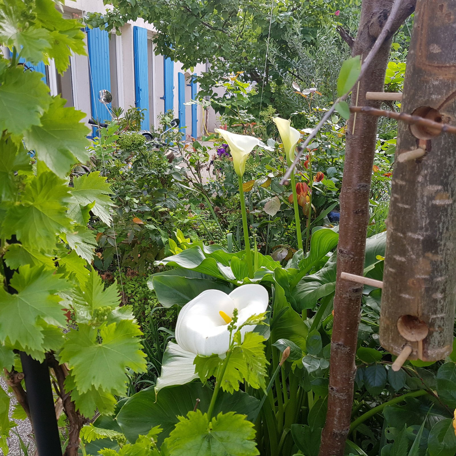 Homestay Lyon 222578