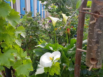 Chambre Chez L'habitant Lyon 222578-4