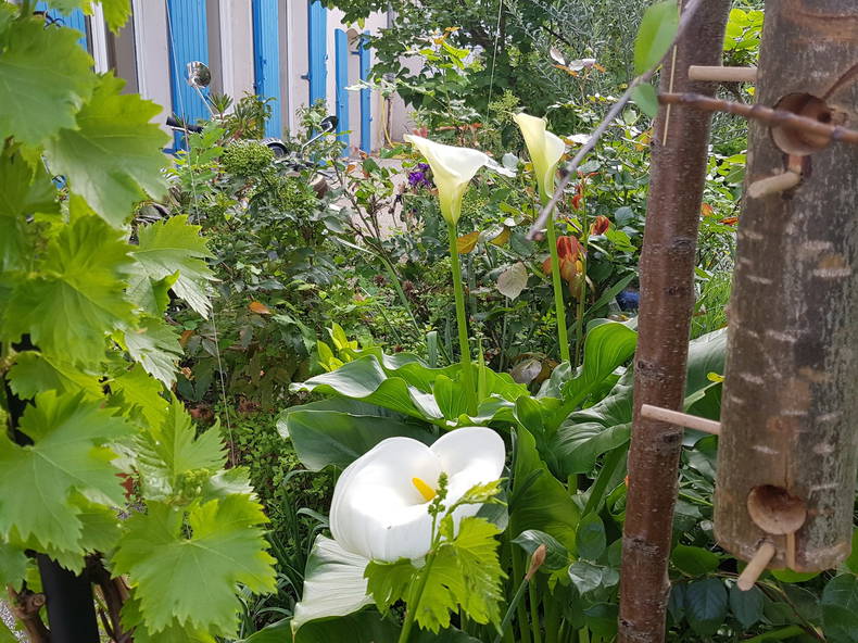 Hemvistelse Lyon 222578-4