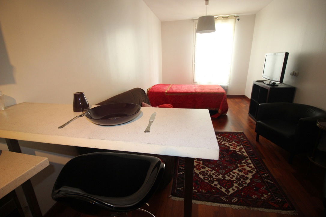 Entire Home Neuilly-sur-Seine 181333