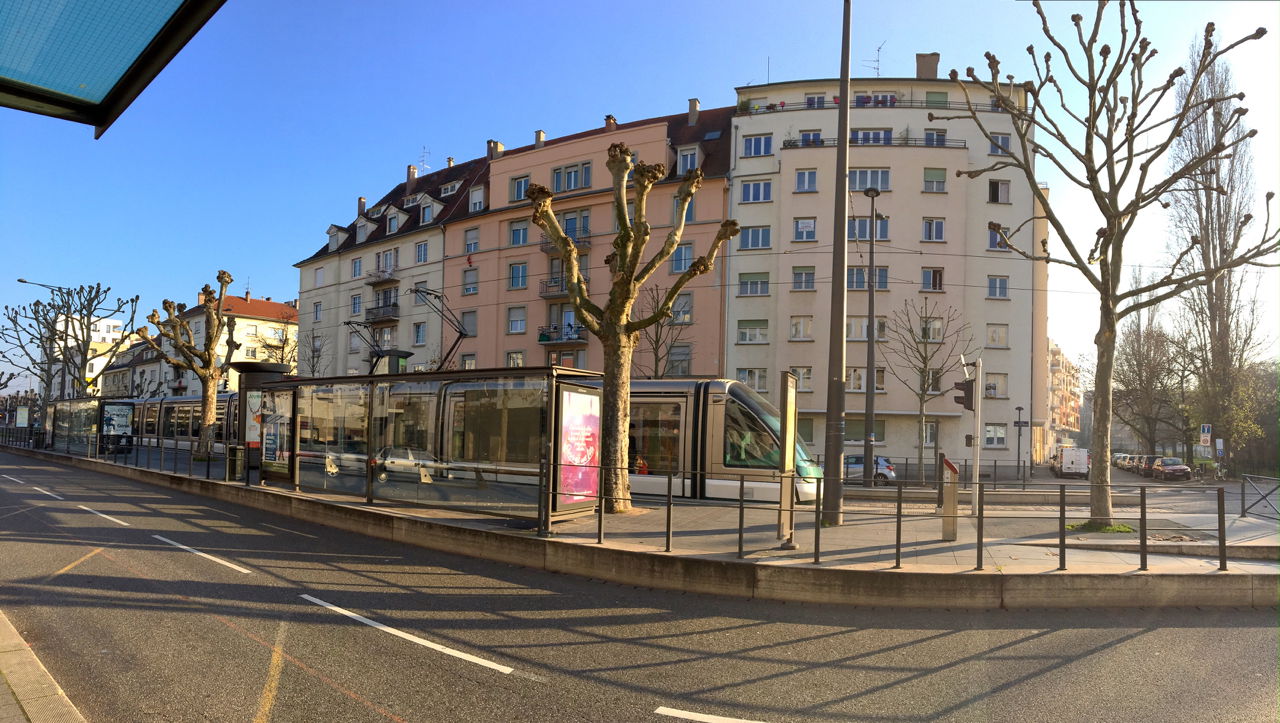 Kolokasie Strasbourg 178335