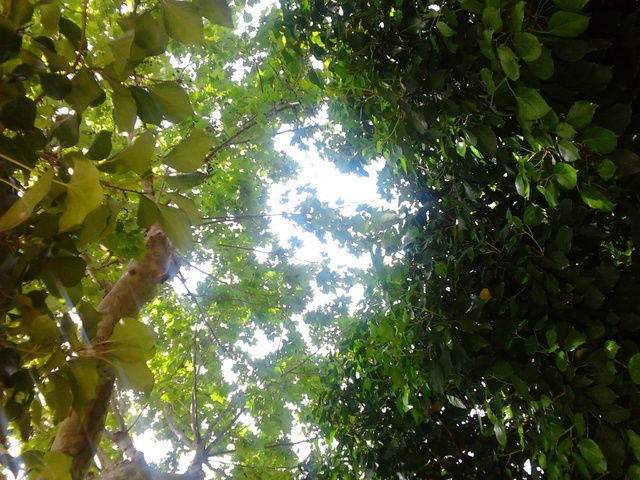 Tuisverblyf Montpellier 45109