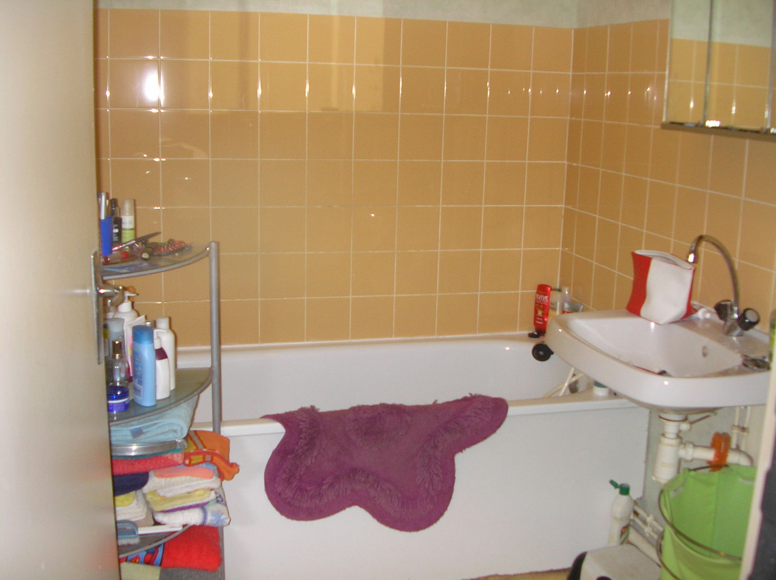 Colocatie Rennes 401307