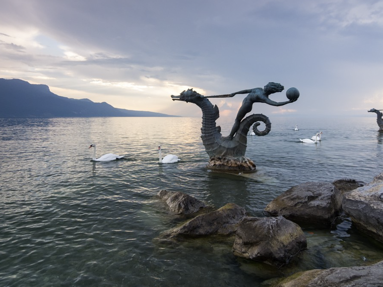 Homestay Vevey 266183