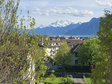 Chambre À Louer Vevey 266183