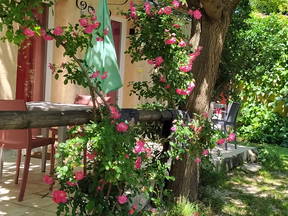 Abrivado en petite camargue Aimargues