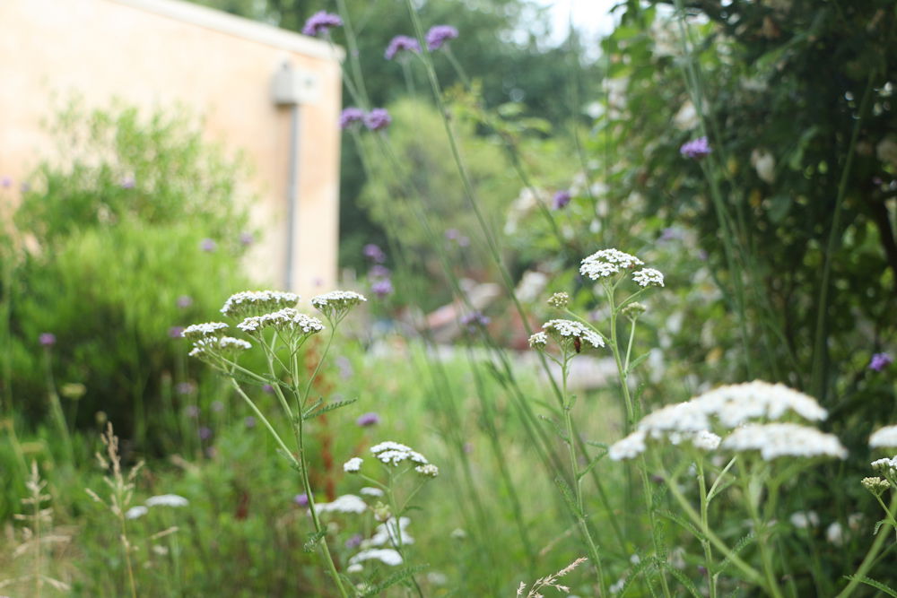 Gästrum Parisot 108493