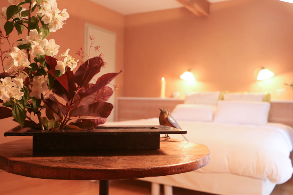 Bed And Breakfast Parisot 108493