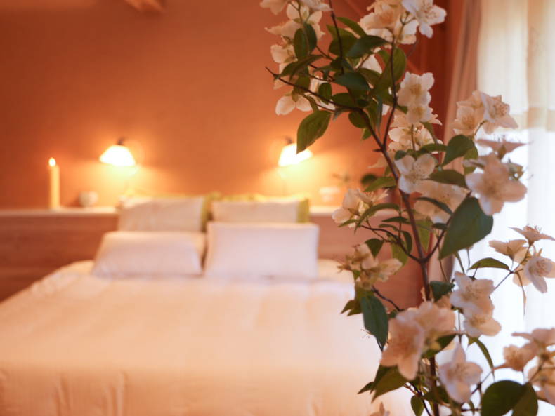 Chambres D'hôtes Parisot 108493-2