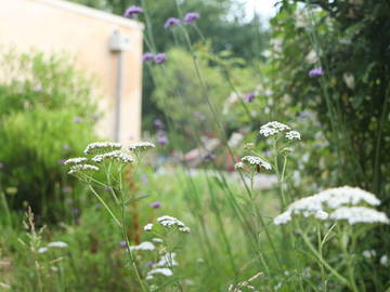 Chambre D'hôte Parisot 108493-4