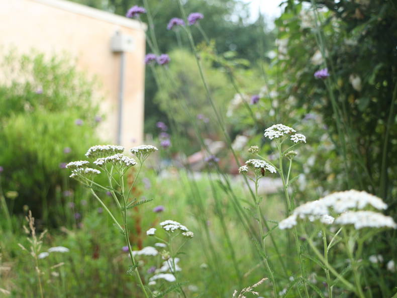 Chambres D'hôtes Parisot 108493-4