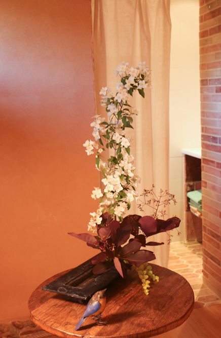 Bed And Breakfast Parisot 108493